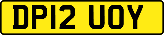 DP12UOY