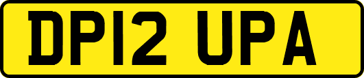 DP12UPA