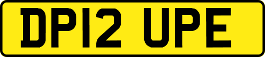 DP12UPE