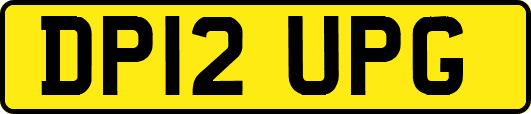 DP12UPG