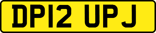 DP12UPJ