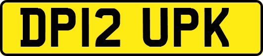 DP12UPK