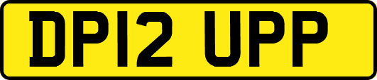 DP12UPP