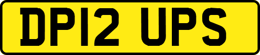 DP12UPS