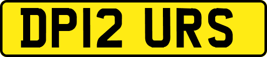 DP12URS