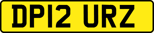 DP12URZ