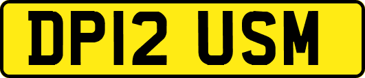 DP12USM