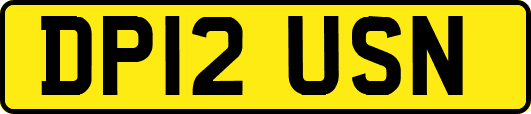 DP12USN