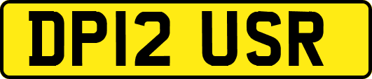 DP12USR