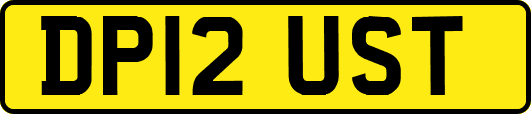 DP12UST