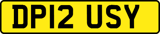 DP12USY