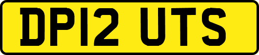 DP12UTS