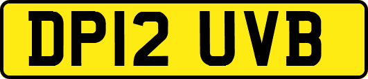 DP12UVB