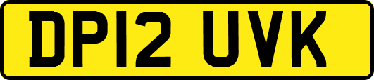 DP12UVK