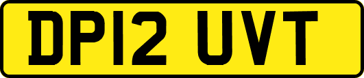 DP12UVT