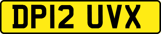 DP12UVX