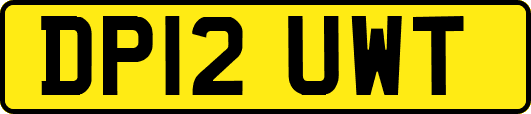 DP12UWT