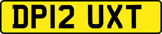 DP12UXT