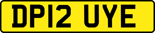 DP12UYE