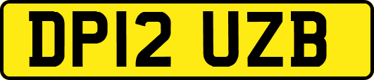 DP12UZB