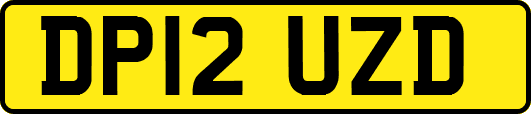 DP12UZD