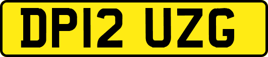 DP12UZG