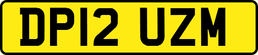 DP12UZM