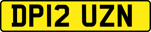 DP12UZN