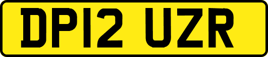DP12UZR