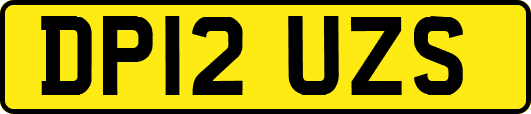 DP12UZS