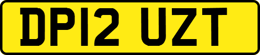 DP12UZT