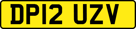 DP12UZV
