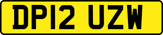 DP12UZW