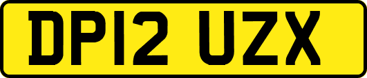 DP12UZX