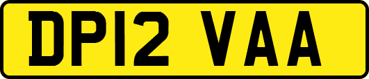 DP12VAA