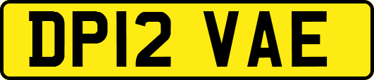 DP12VAE