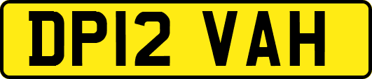 DP12VAH