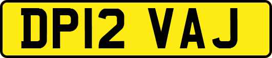 DP12VAJ