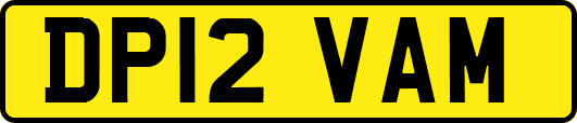 DP12VAM