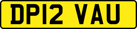 DP12VAU