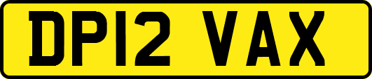 DP12VAX