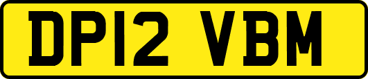 DP12VBM