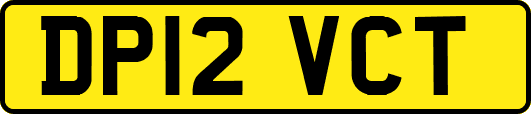 DP12VCT