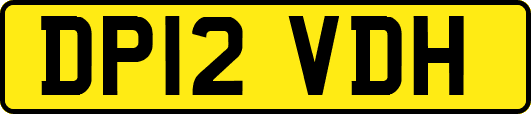 DP12VDH