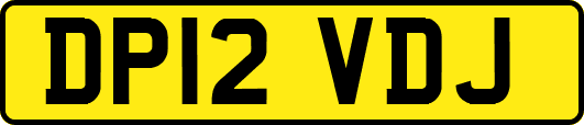DP12VDJ