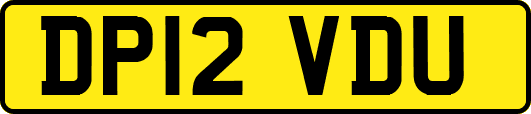 DP12VDU