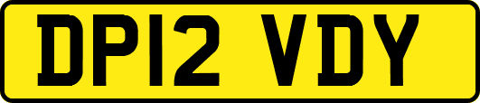 DP12VDY