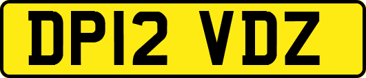 DP12VDZ