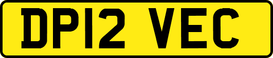 DP12VEC