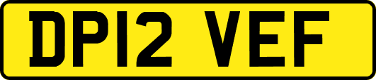 DP12VEF